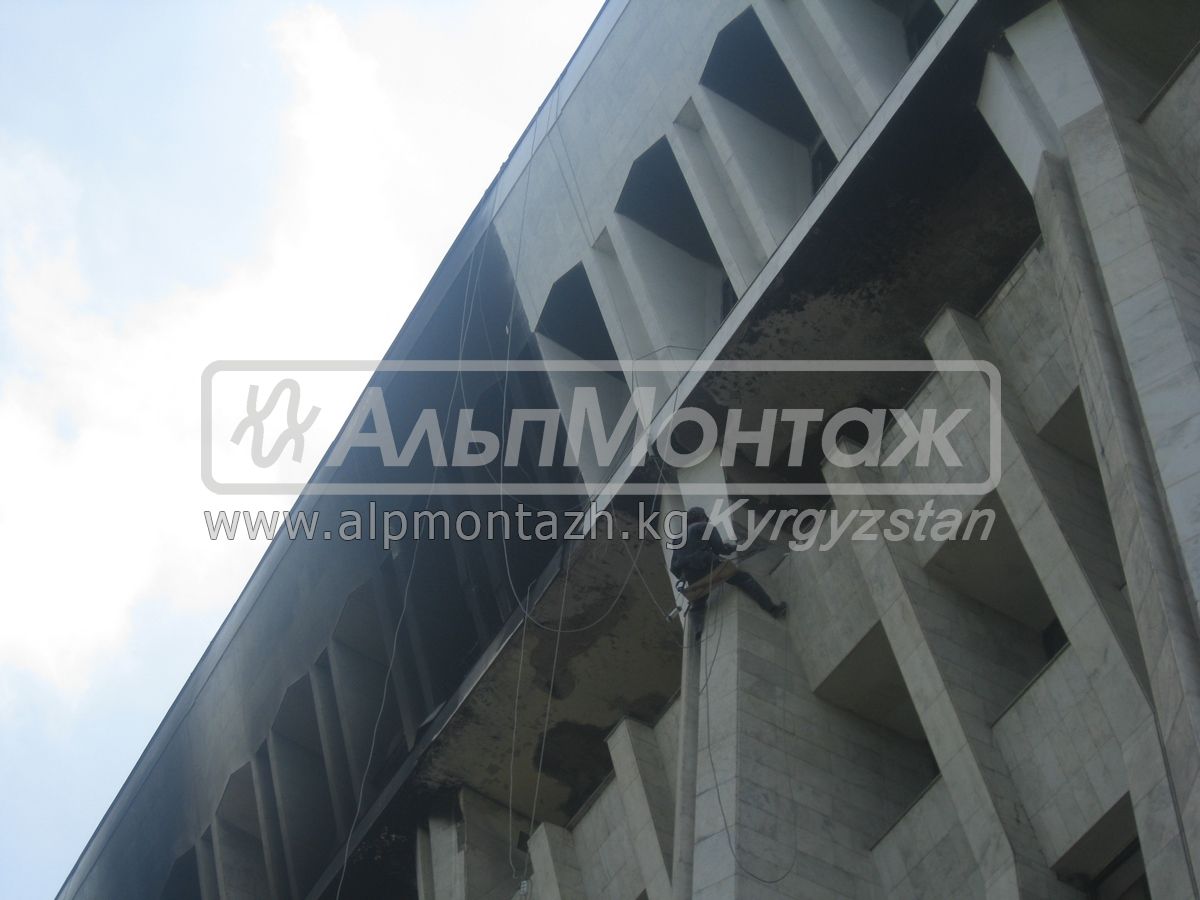 IMG 2717